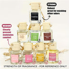 3pcs set  Car Diffuser Frangrance Freshener -Last 60 Days